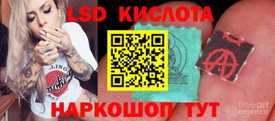 ALPHA PVP Заволжье