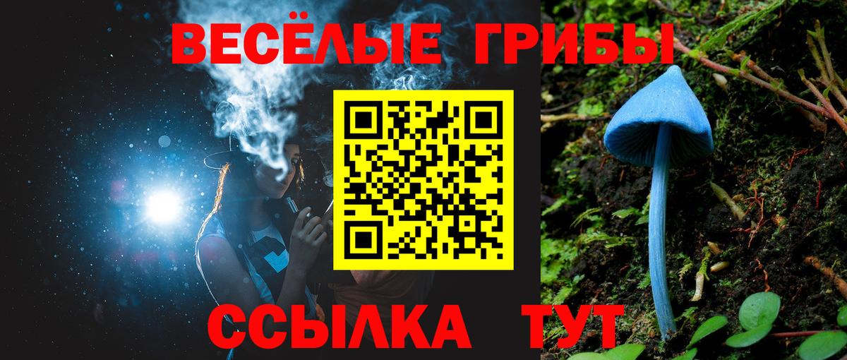 Ликино-Дулёво  Галлюциногенные грибы MAGIC MUSHROOMS  Вход с VPN 